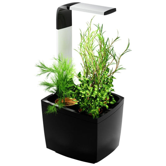 T3 Kitchen Garden Vaso autocultivante 20 x 17,5 cm