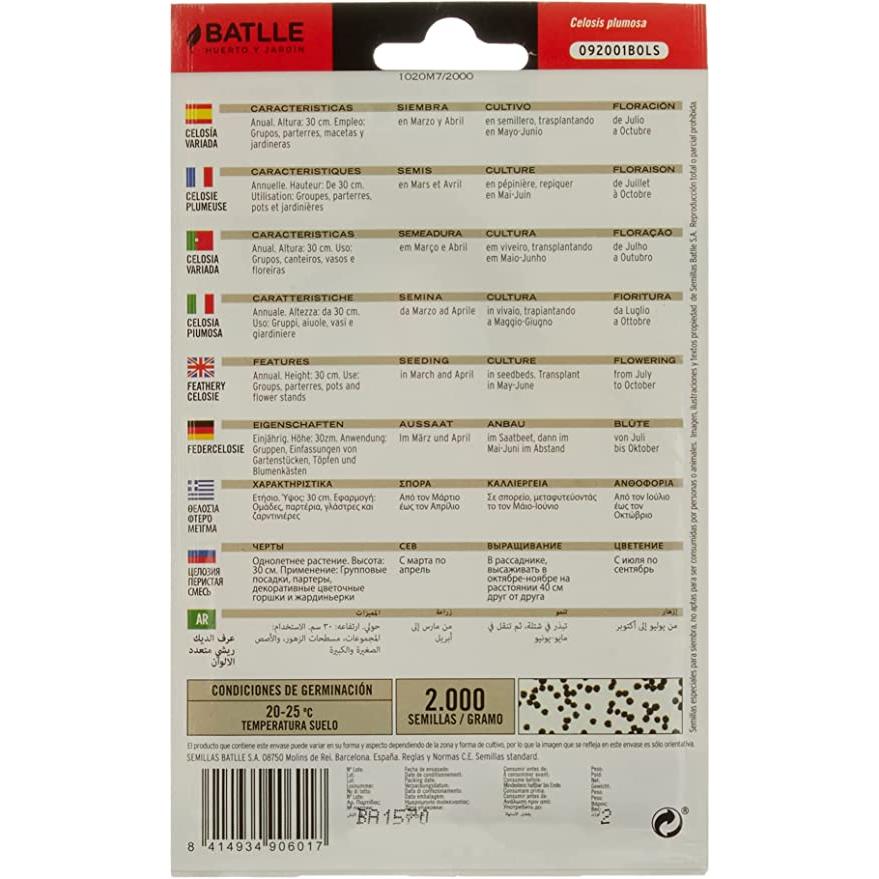 Sementes Variegadas de Celosia Penosa Batlle