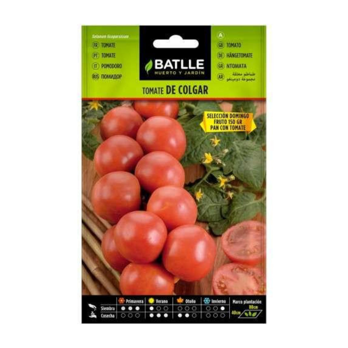 Domingo Batlle Pendurando Sementes De Tomate