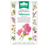 Sementes medicinais biológicas de Valeriana Batlle