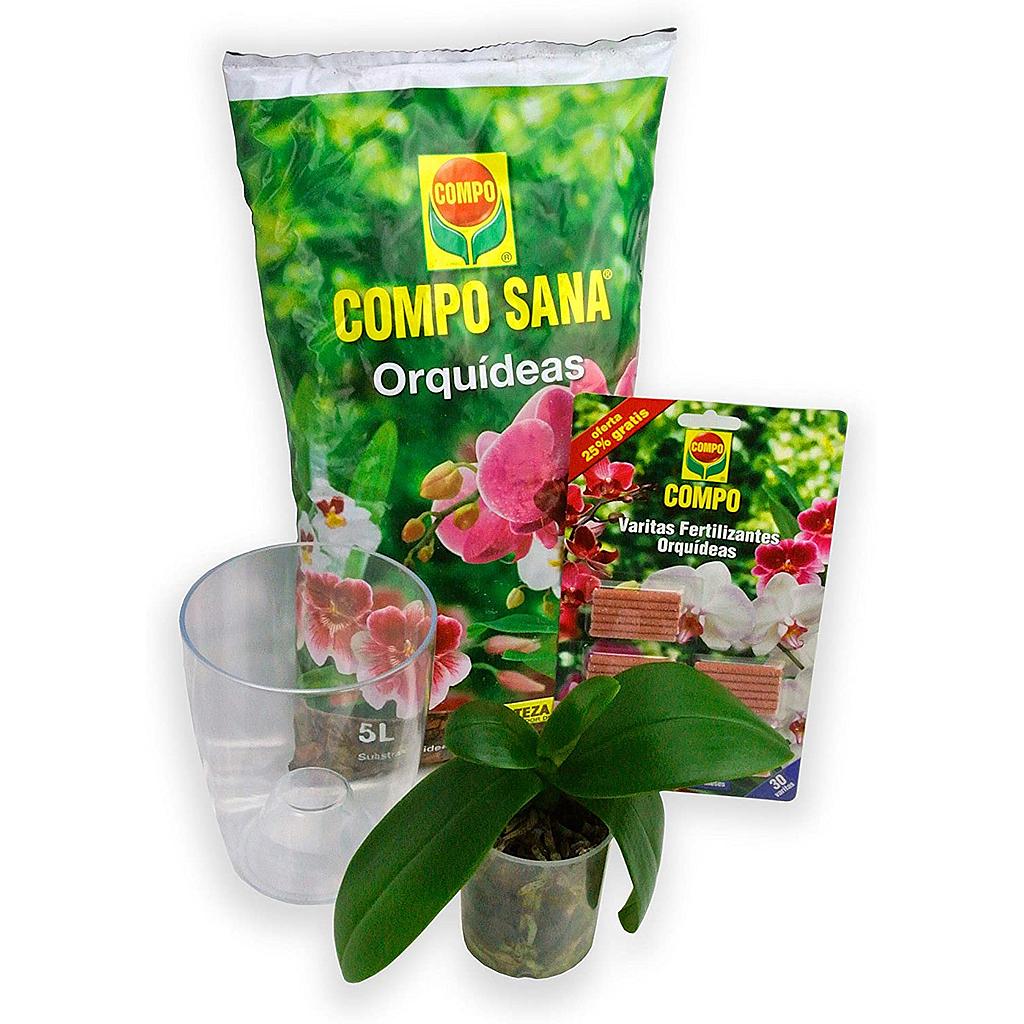 Kit De Iniciación De Orquídeas_0