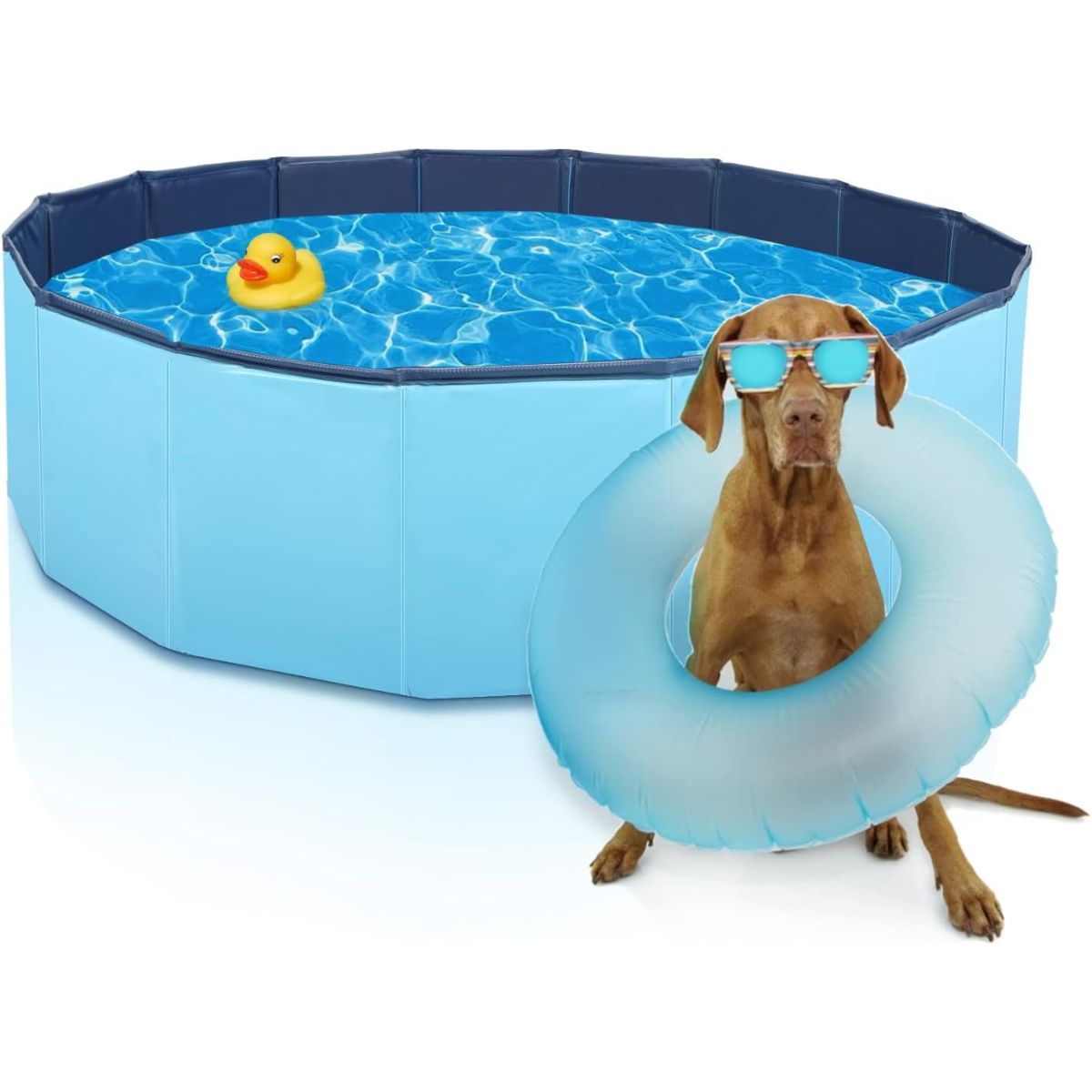 Piscina dobrável para animais de estimação Ø120 x A30 cm Nobleza