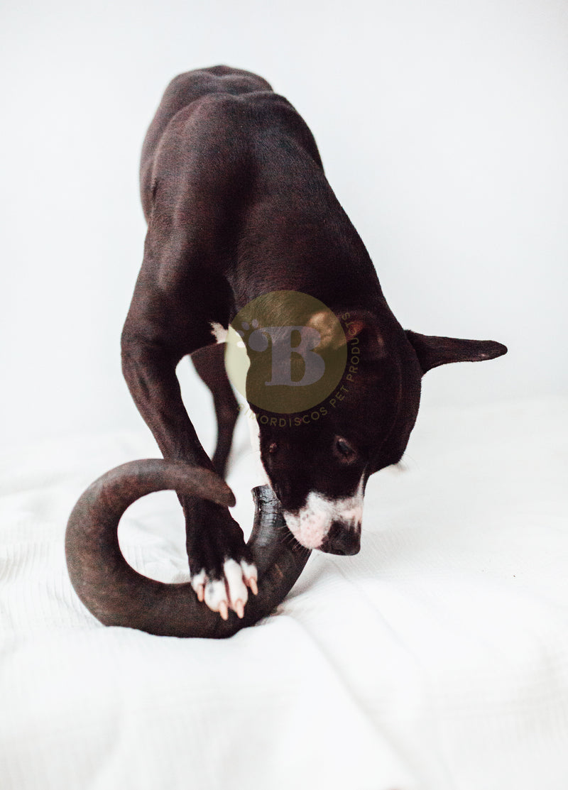 Bimordiscos Pack Juguete Indestructible Para Perros + Cuerno De Búfalo Para Perros_3