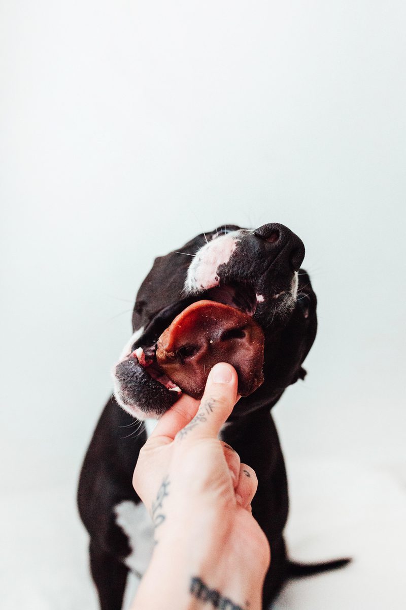 Bimordiscos Morros De Cerdo Para Perros · 500g. 500g_3