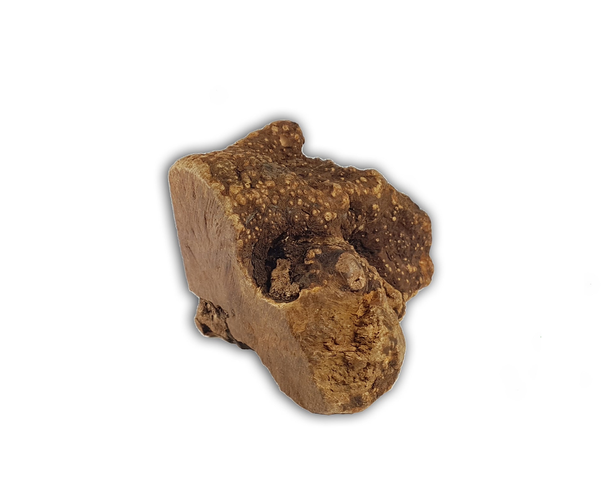 Bimordiscos Raíz De Brezo Para Perros Con Aceite De Salmón Pack.