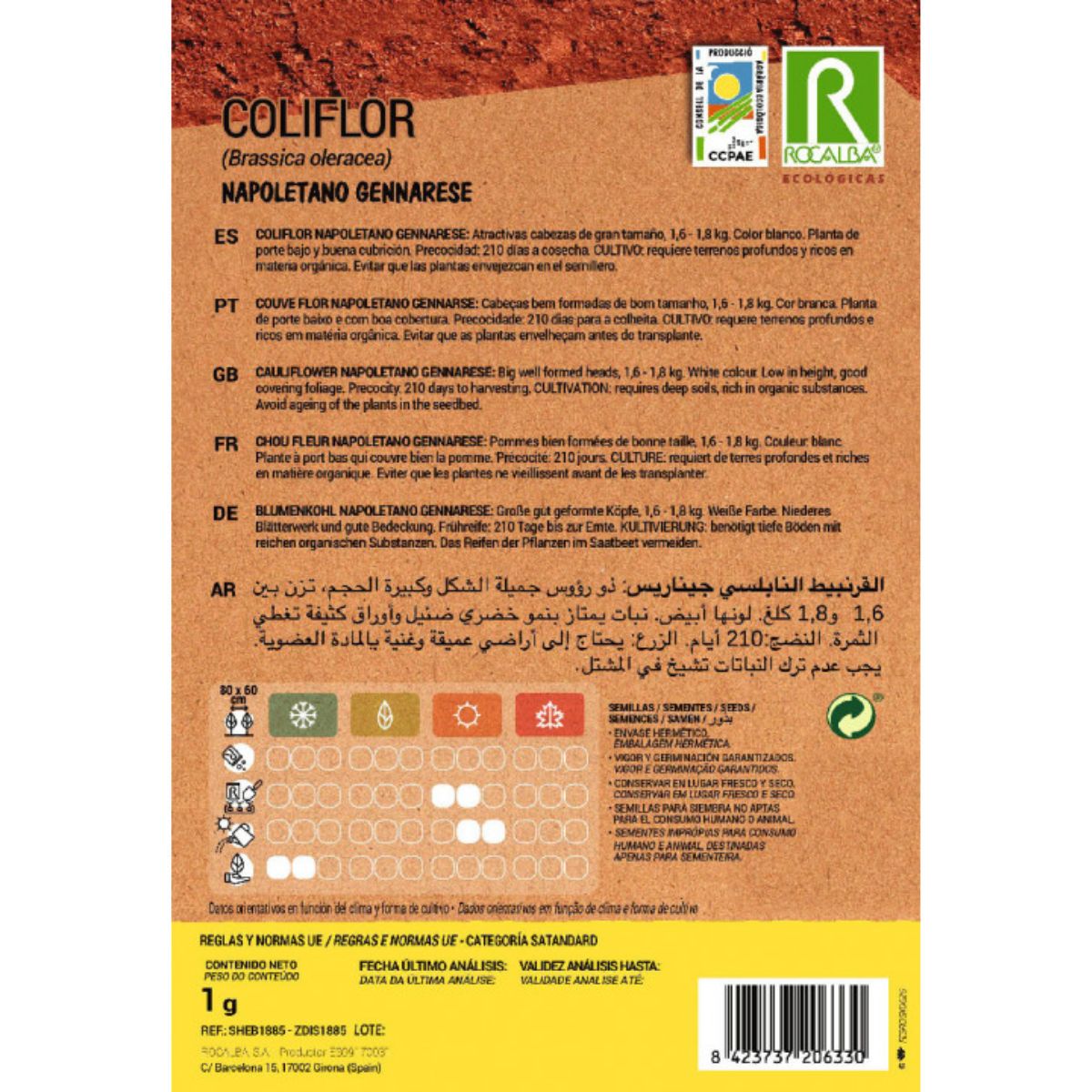 Sementes de Couve-Flor Biológica Napoletano Gennarese Rocalba