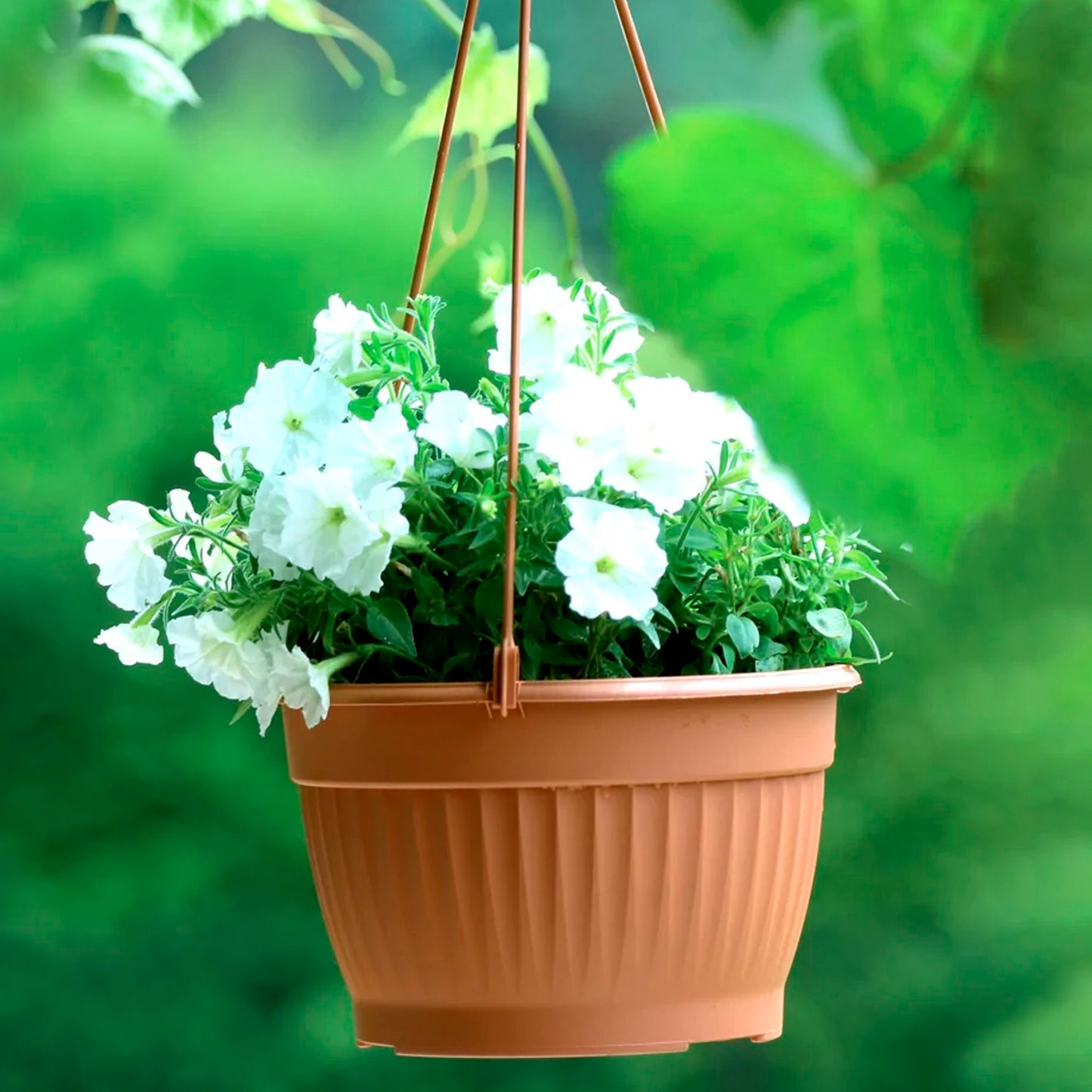 Macetero Colgante Terra 4l., Dimensiones (mm) 230x230x140, Color Terracota