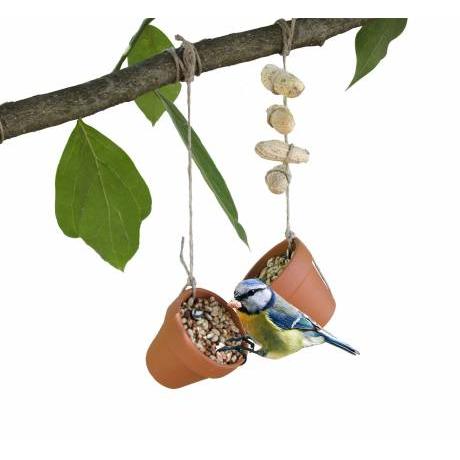 Aprender com os pássaros - Jogo da National Geographic