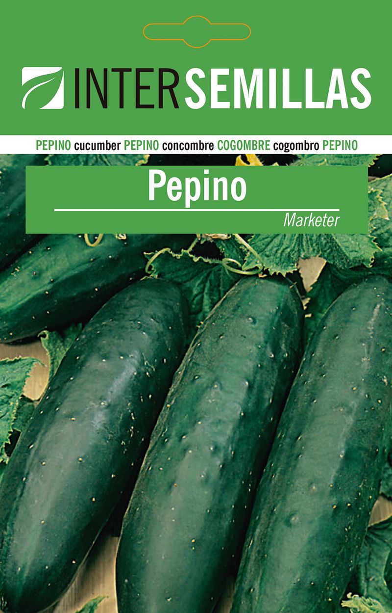 Sobre De Semillas De Pepino Marketer_0