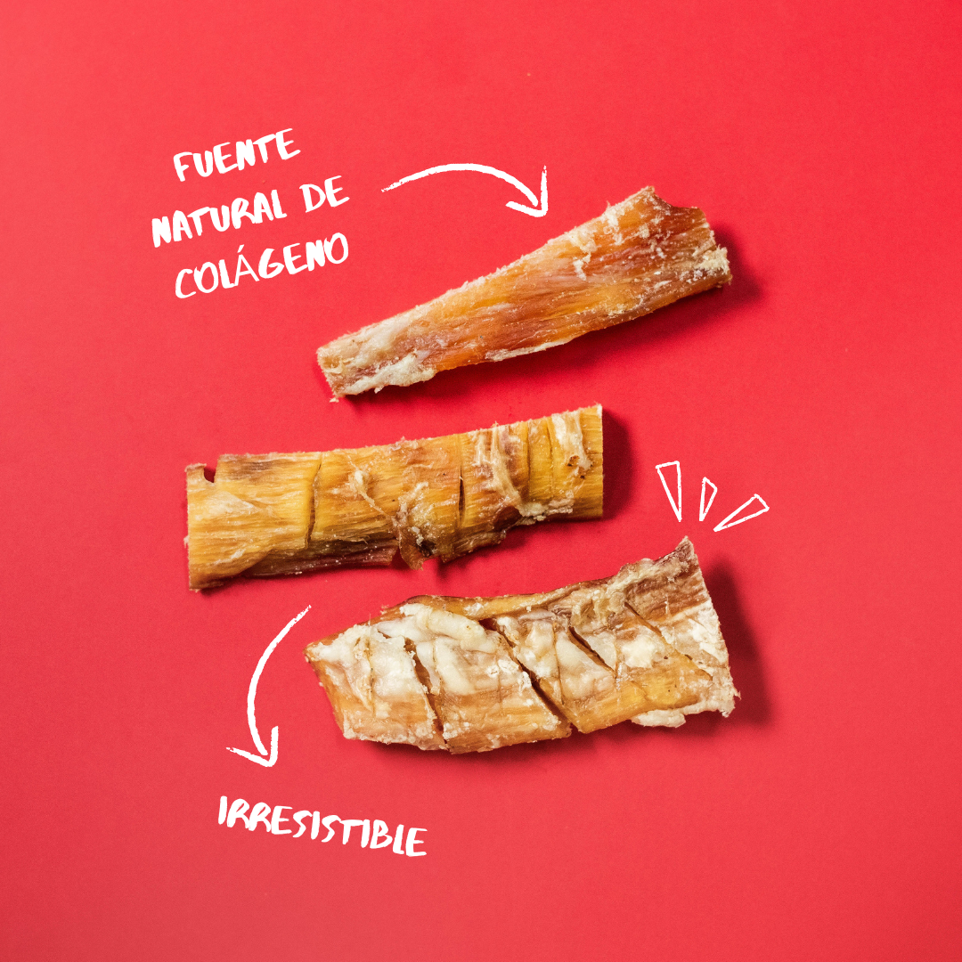 Comida Para Perros. Nervio De Ternera_1