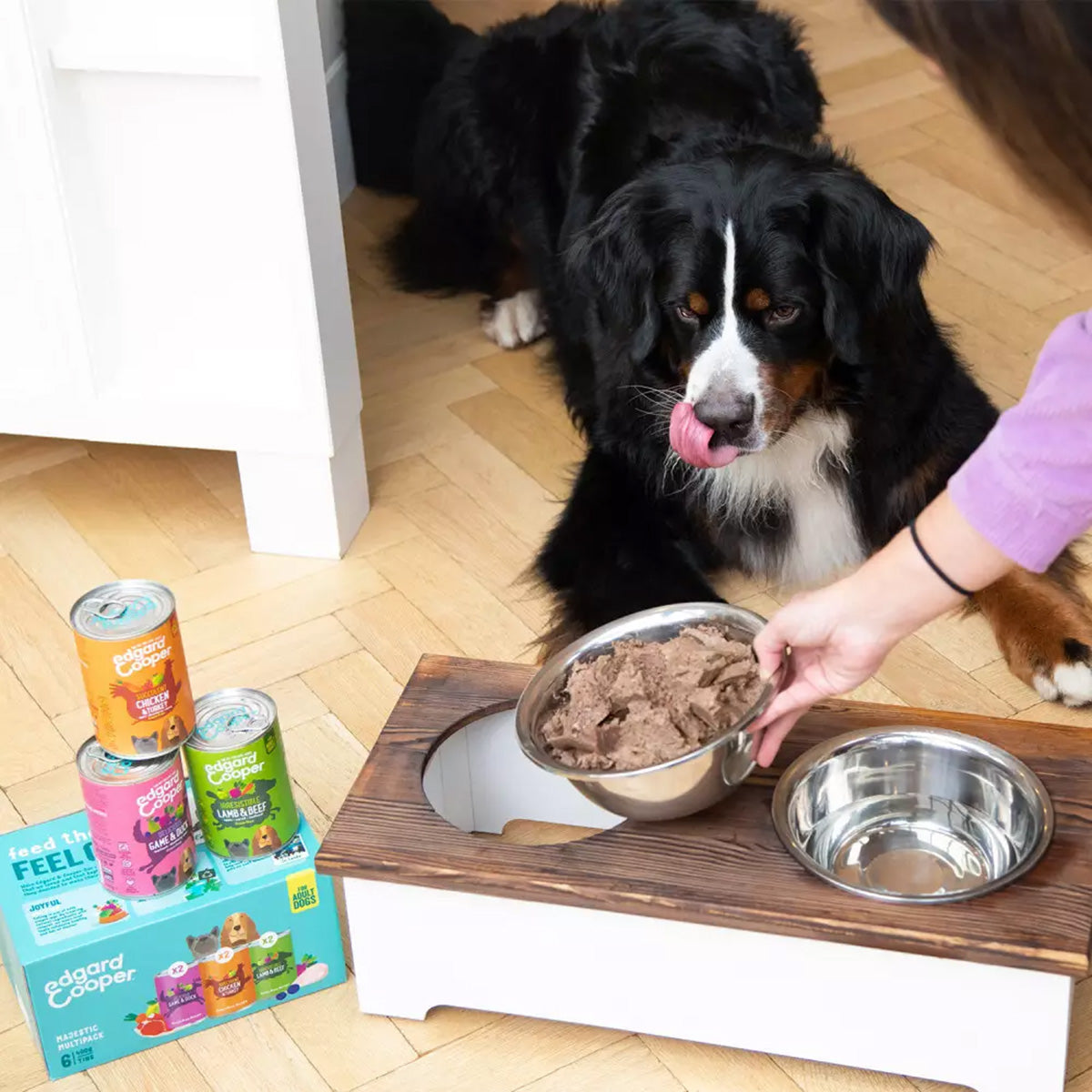 Ração húmida para cães Edgard & Cooper Multipack 6 x 400 g