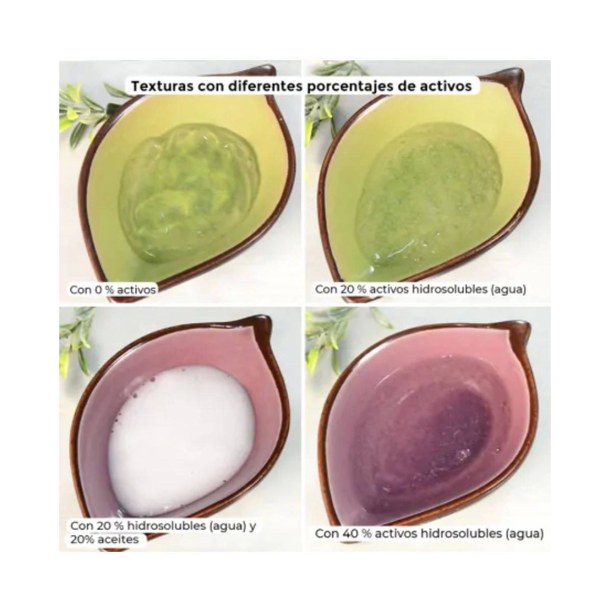 Base de sabão biológica certificada, Camassia, 1000ml