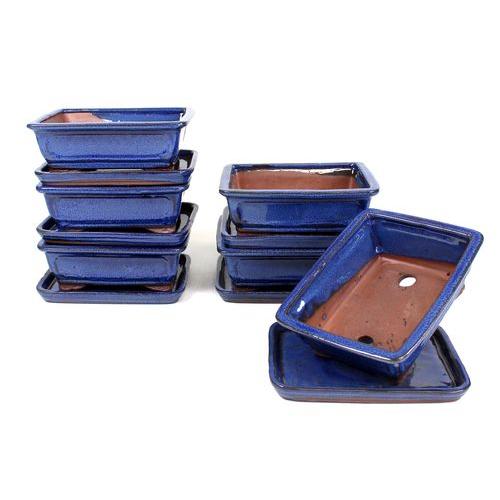 Vaso bonsai retangular 20 cm com pires azul