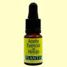 Essência de Funcho Plantis 10 ml