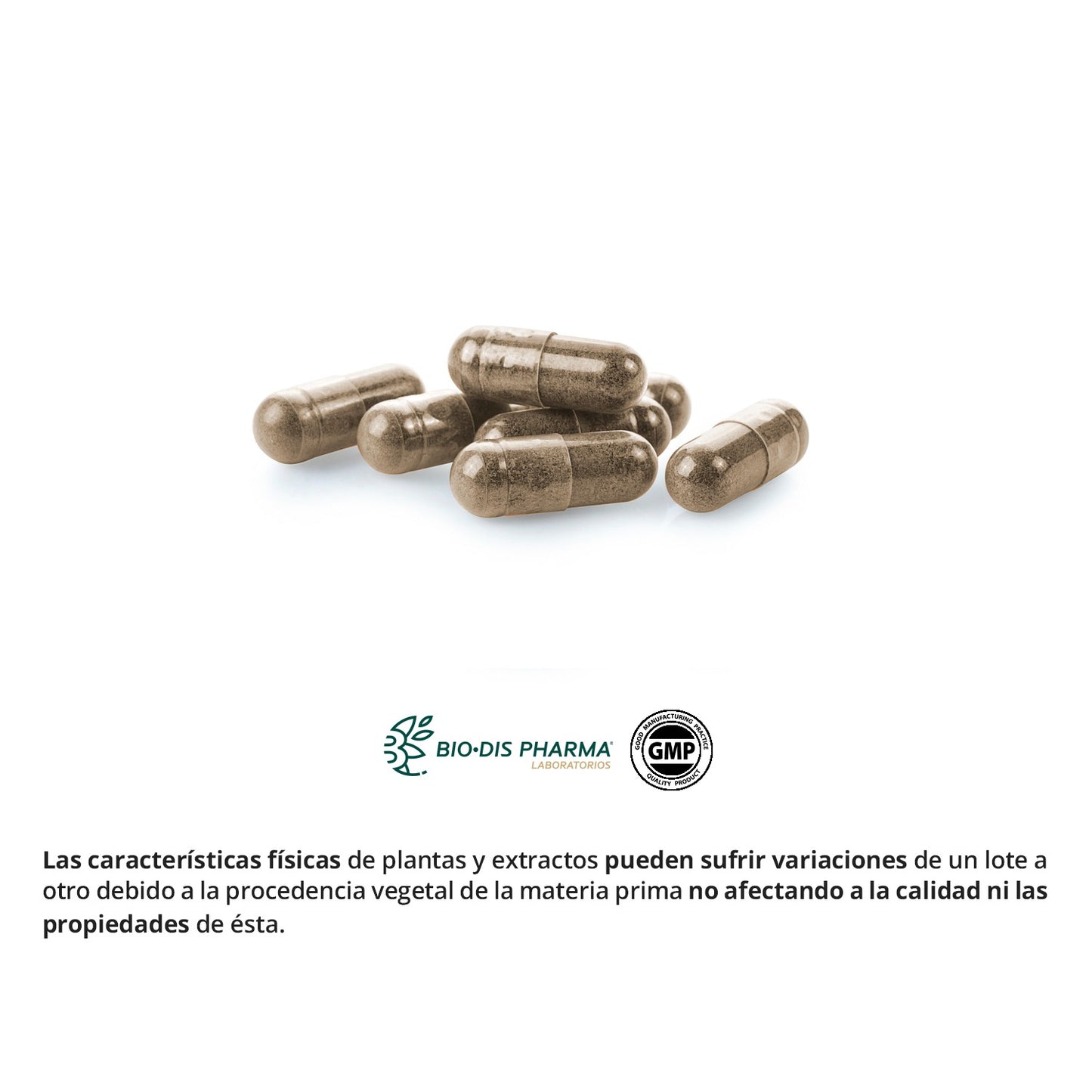 Reishi (Micélio) 400 mg Nature Essential, 50 cápsulas