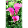 Bolbo de Calla Rosa 1 unidade