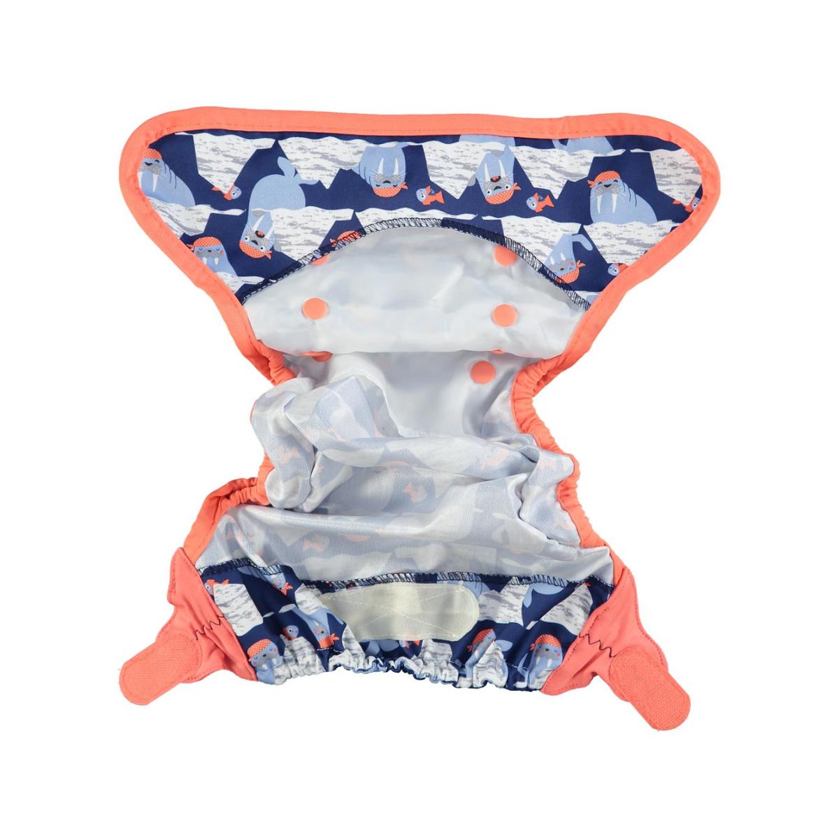 Suportes Pop-in Cover Walrus