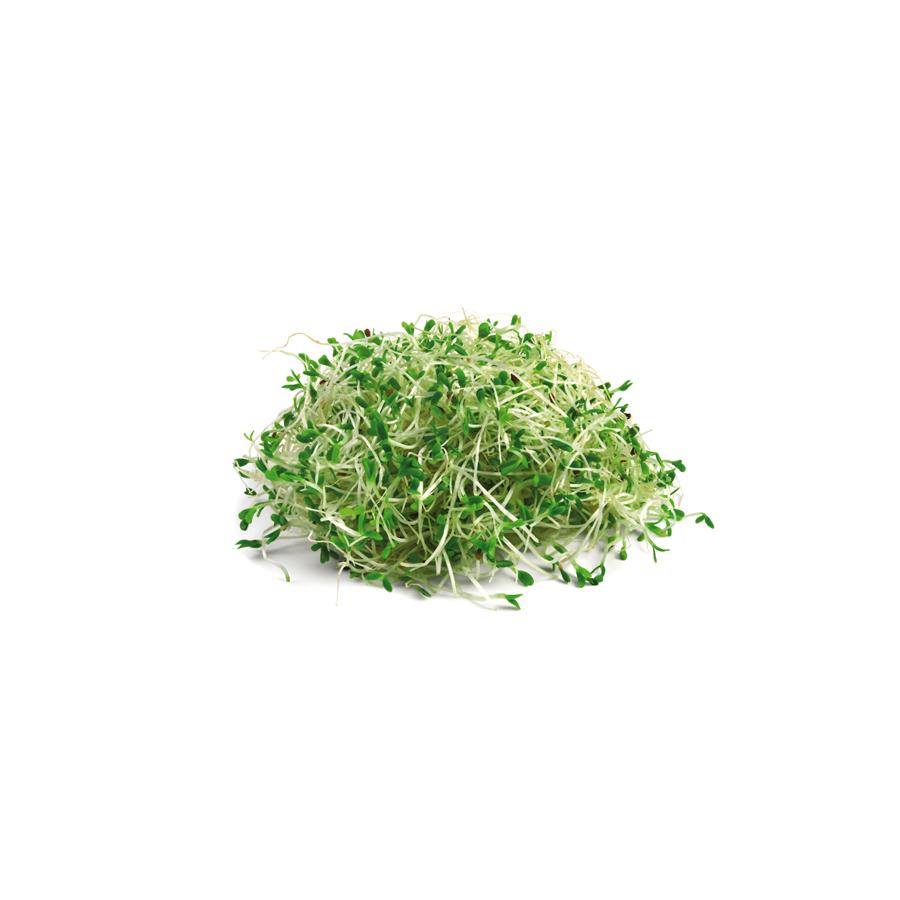 Alfalfa 400 mg 200 Comprimidos The Granary