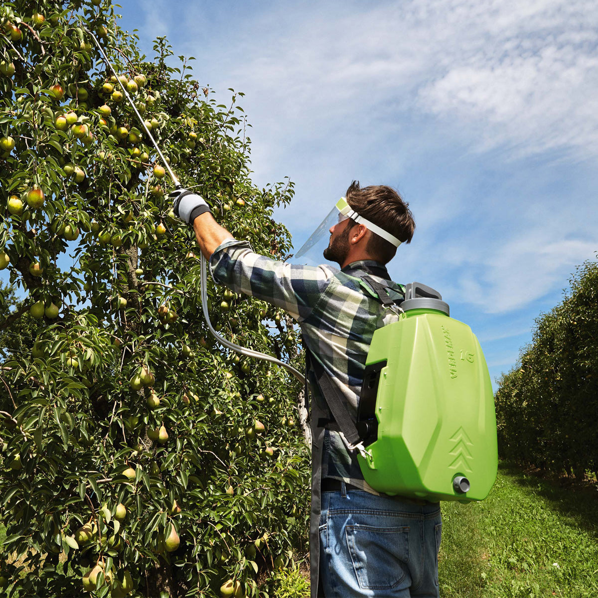 Pulverizador de mochila a pilhas Verdemax 16L