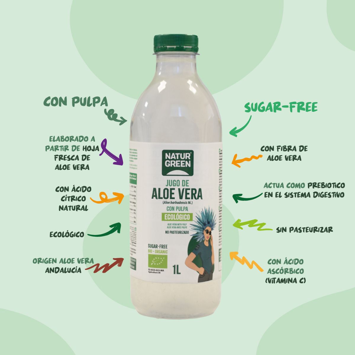 Embalagem x 12 Sumo de Aloé vera com agave, limão e gengibre NaturGreen 1 L
