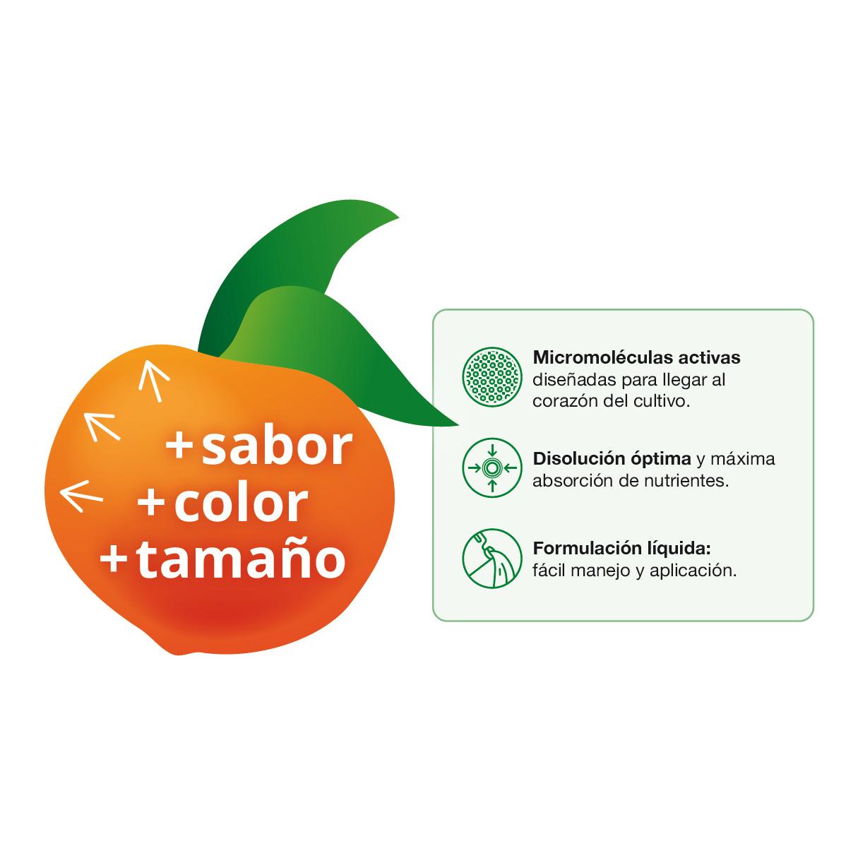 Filer Flow Fruit Engorda Seipasa 250 ml