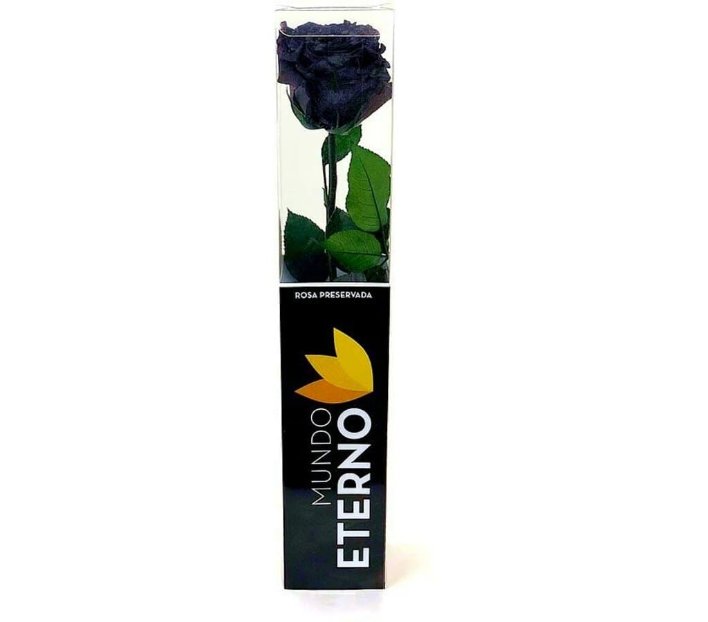 Mundo Eterno Rosa Preservada Negra 25cm_1