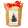 Kit de cultivo de pinheiros de Natal Kraft Growing Memories, Garden Pocket