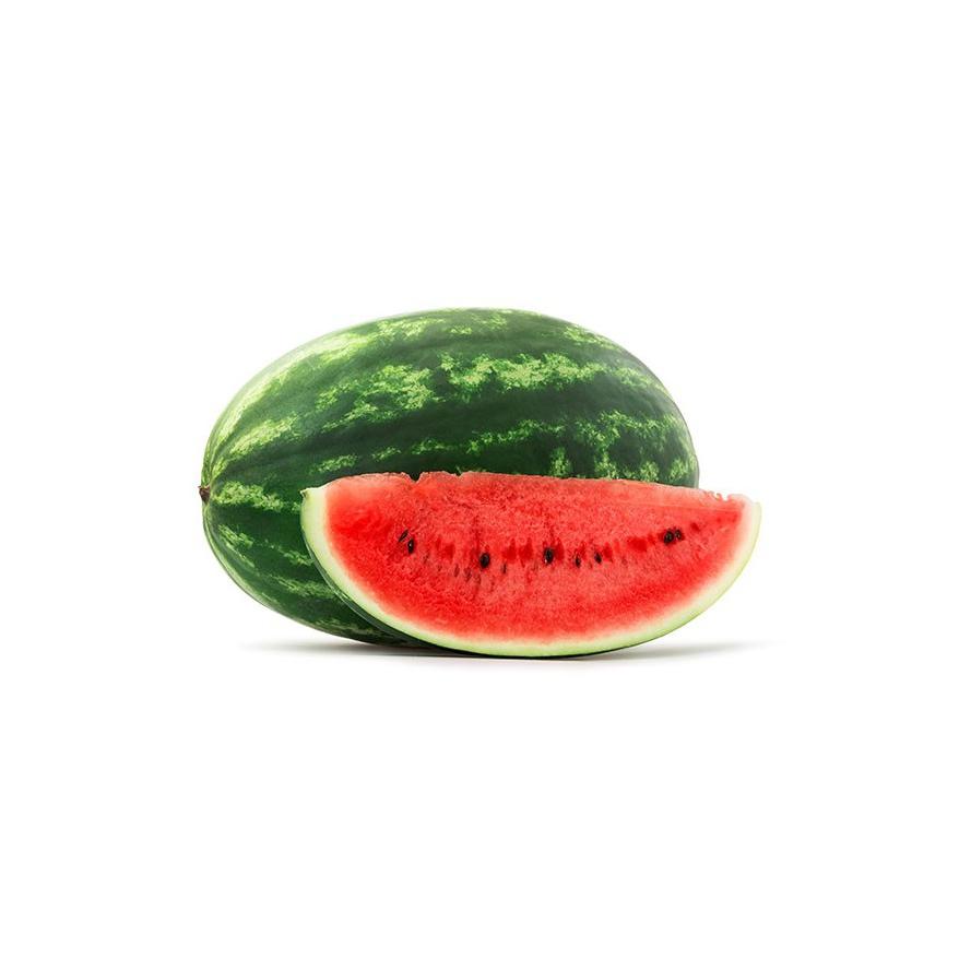 Mudas de melancia verde alongadas, 6 unid. Linha Tradicional