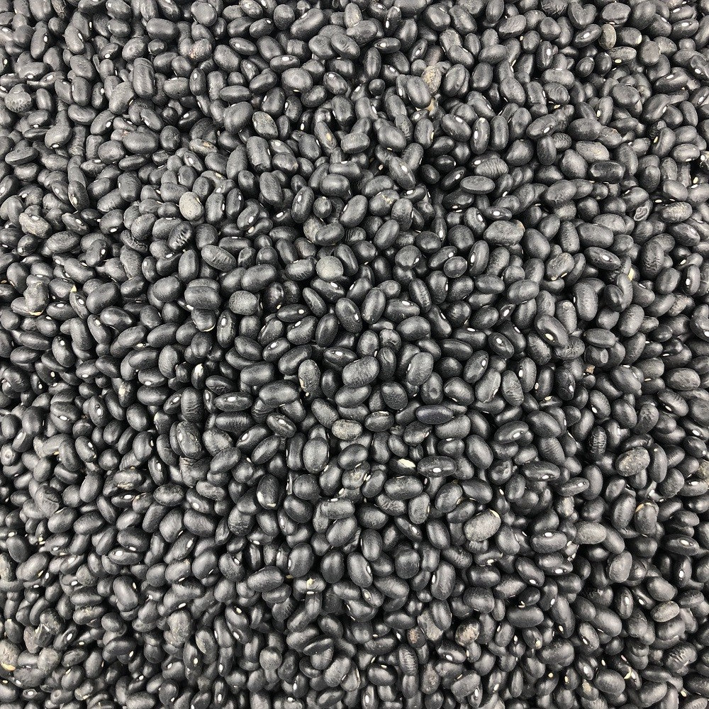Frijol Negro Ecológico Granel 1 Kg_2