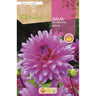 Bolbo decorativo de Dália Rosella 1 unidade (I)
