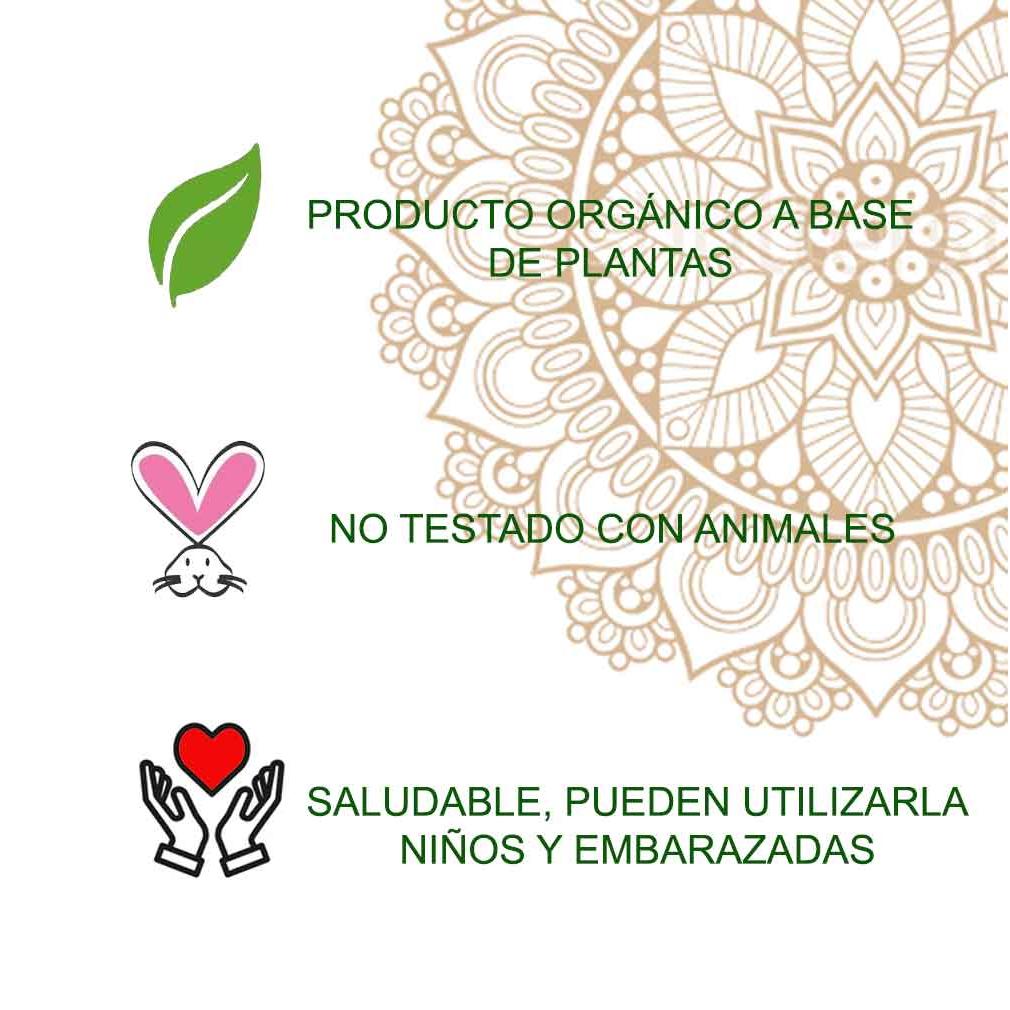 Pó de Henna para Tatuagem Radhe 50g