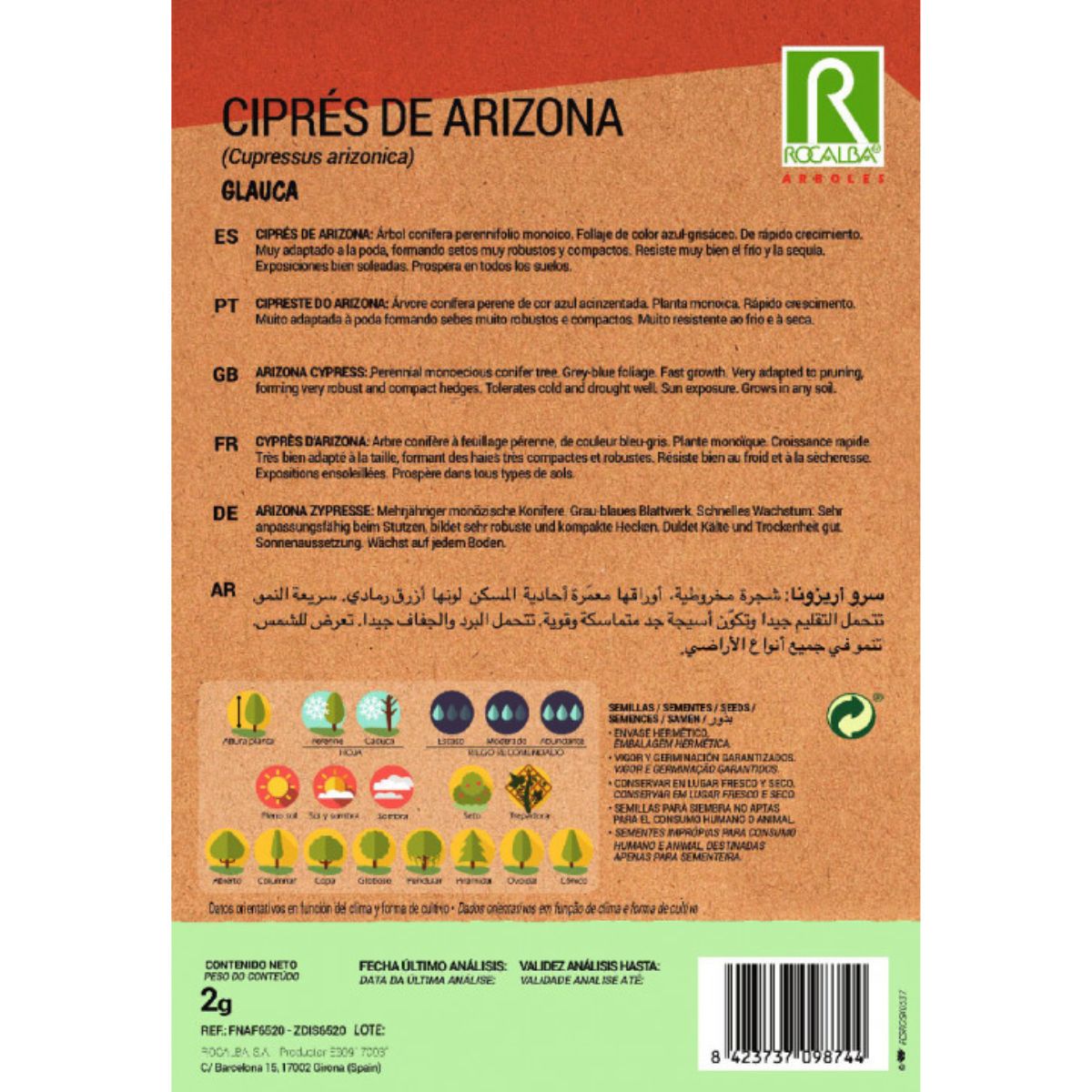 Sementes de cipreste do Arizona (Cypress arizonica)