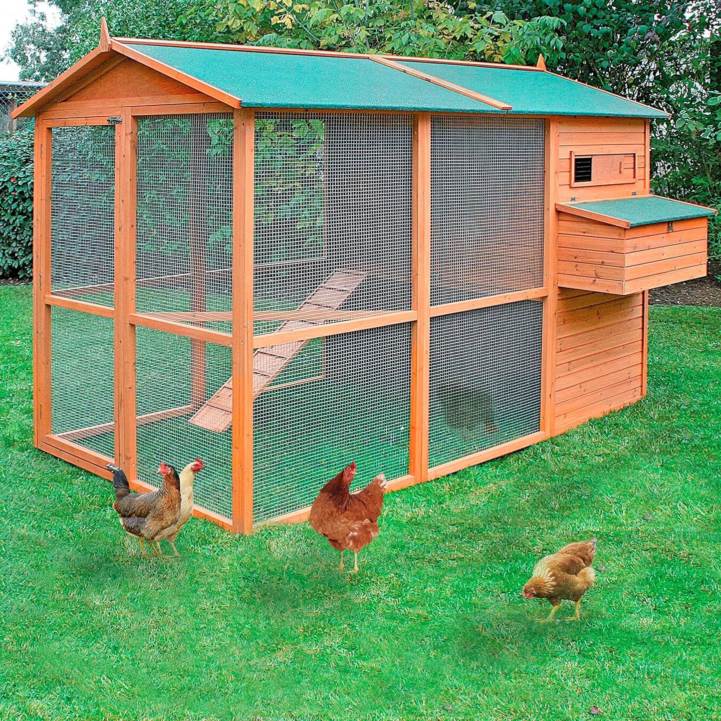 Gallinero Oslo Para 8-12 Gallinas - Gran Tamaño - Refugio Cubierto - Bandeja Extraíble - Incluye Perchas Y Ponedero_1