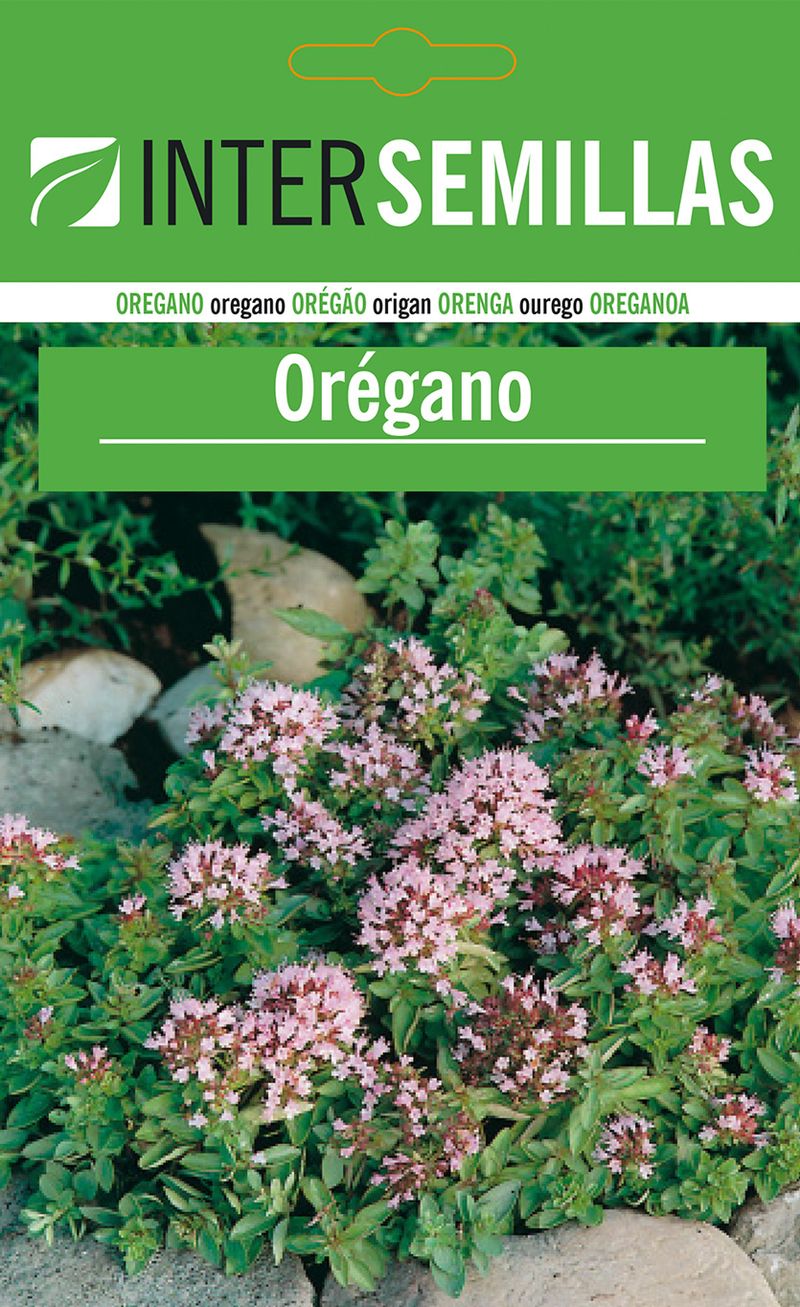 Sobre De Semillas De Oregano_0