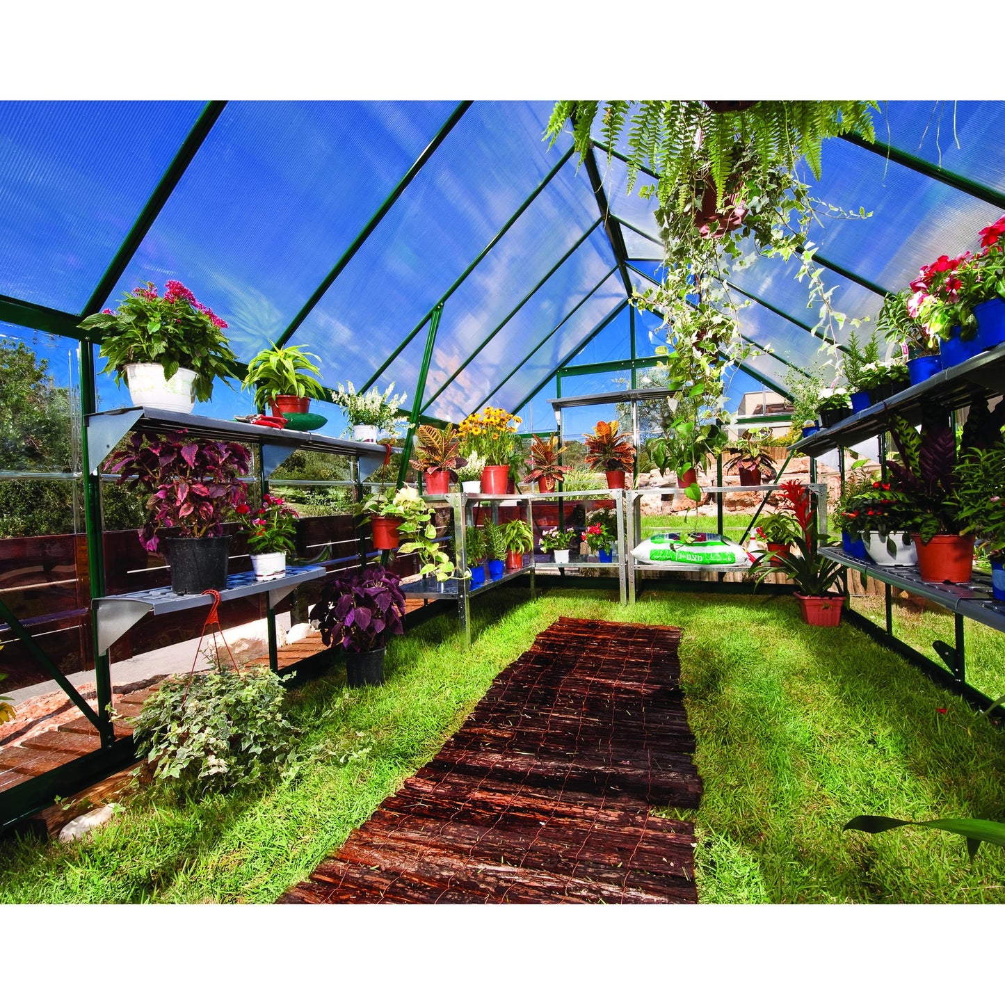 Estufa Balance Garden 247x244x229 cm Verde