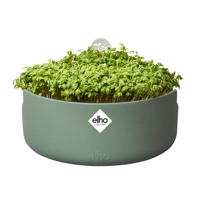Germinador Magic Microgreens Elho Verde