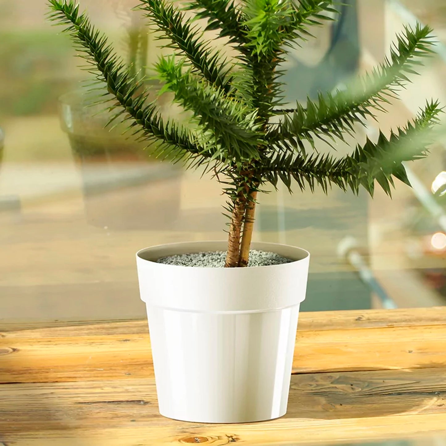 Maceta Cube Basic , Dimensiones (mm) 159x159x146, Color Gris Claro