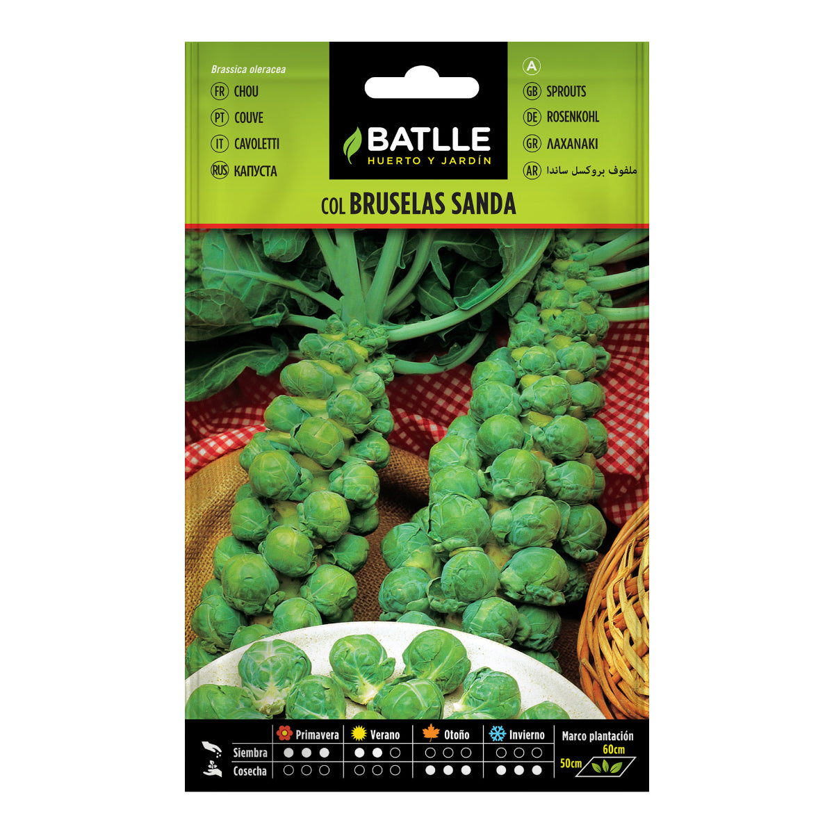Sementes de couve de Bruxelas Sanda Batlle
