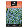 Sementes de Myosotis Alpina, azuis