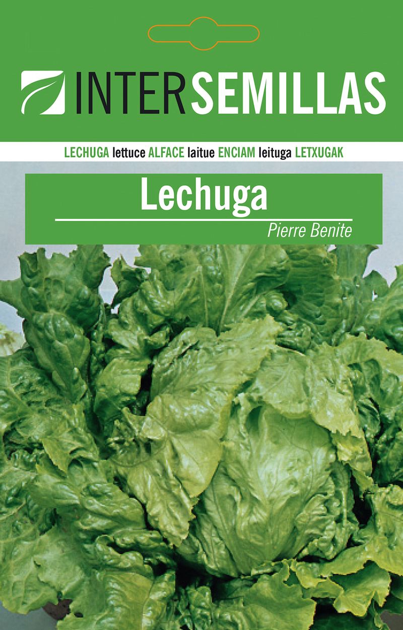 Sobre De Semillas De Lechuga Pierra Benite_0