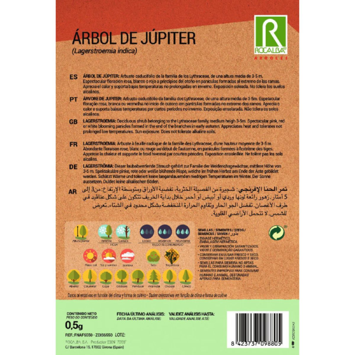 Sementes de árvore de Júpiter Lagerstroemia indica