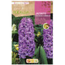 Bulbo Jacinto Esplêndido Cornelia roxo 3 peças Rocalba