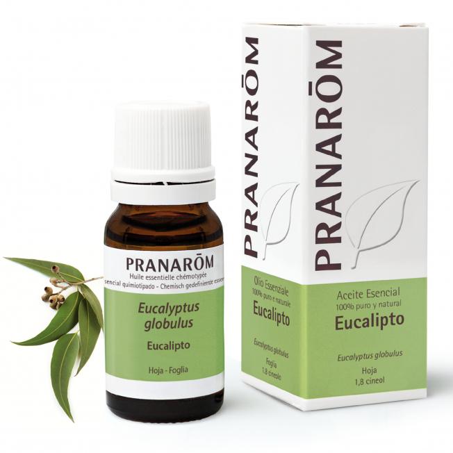 Óleo essencial de Eucalyptus globulus Pranarom 10 ml