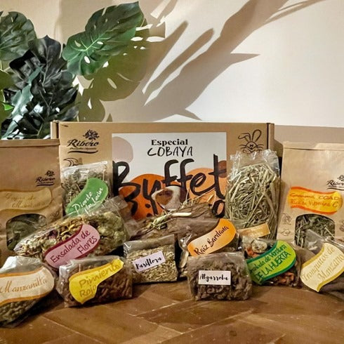 Buffet de porquinhos-da-índia Ribero