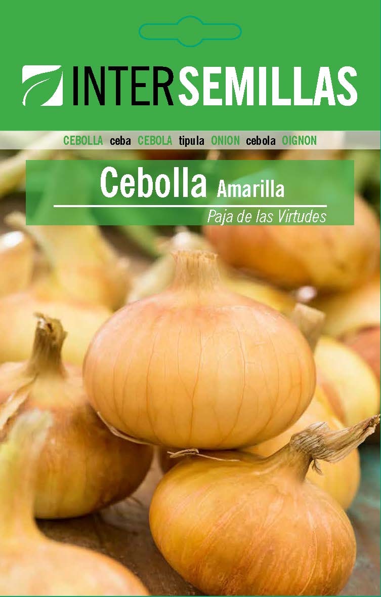 Sobre De Semillas De Cebolla Amarilla Paja Virtudes_0