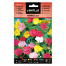Sementes de flores noturnas bonitas e variegadas Batlle