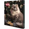 Calendário do Advento do Gato Trixie Prize