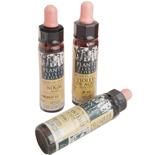 Molho Plantis 38 10 Ml Eco Artesania