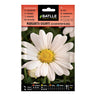 Sementes de Margarida Gigante Leucantemum Batlle Branco