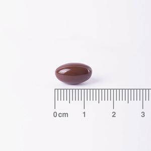 Extrato de Saw Palmetto Lamberts 60 cápsulas